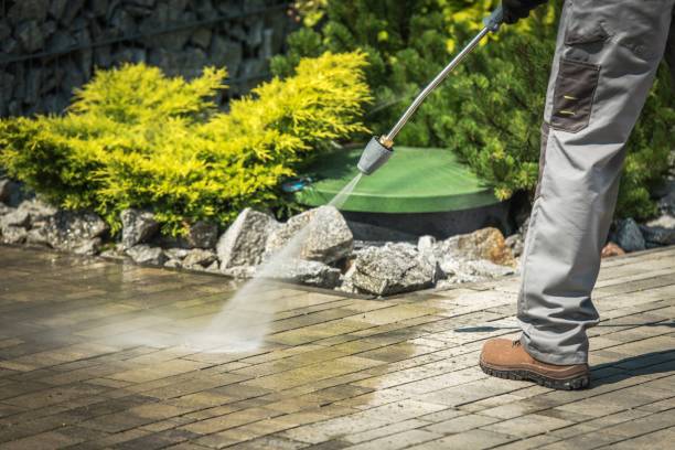 Best Dumpster Area Cleaning  in Zellwood, FL