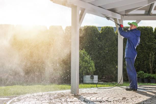 Best Post-Construction Pressure Washing  in Zellwood, FL