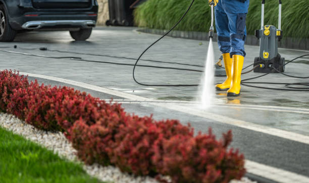 Best Patio and Deck Pressure Washing  in Zellwood, FL