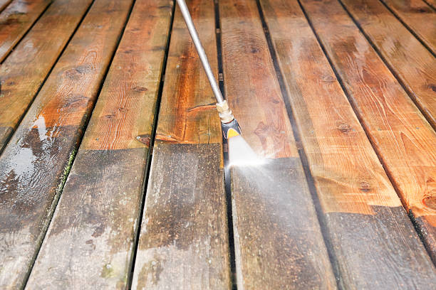 Best Fence Cleaning  in Zellwood, FL