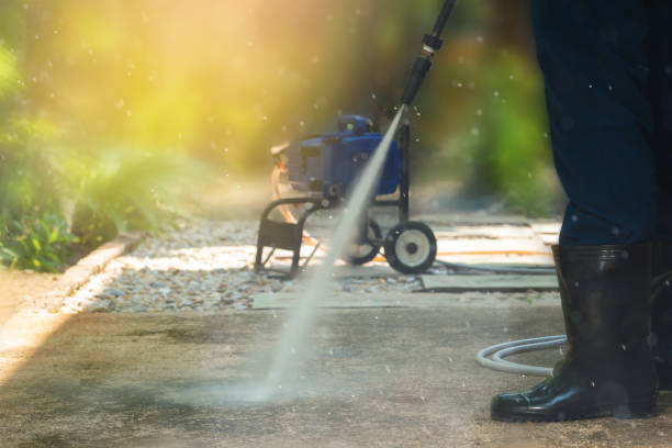 Best House Exterior Washing  in Zellwood, FL